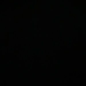 Meet your Posher, Bailey